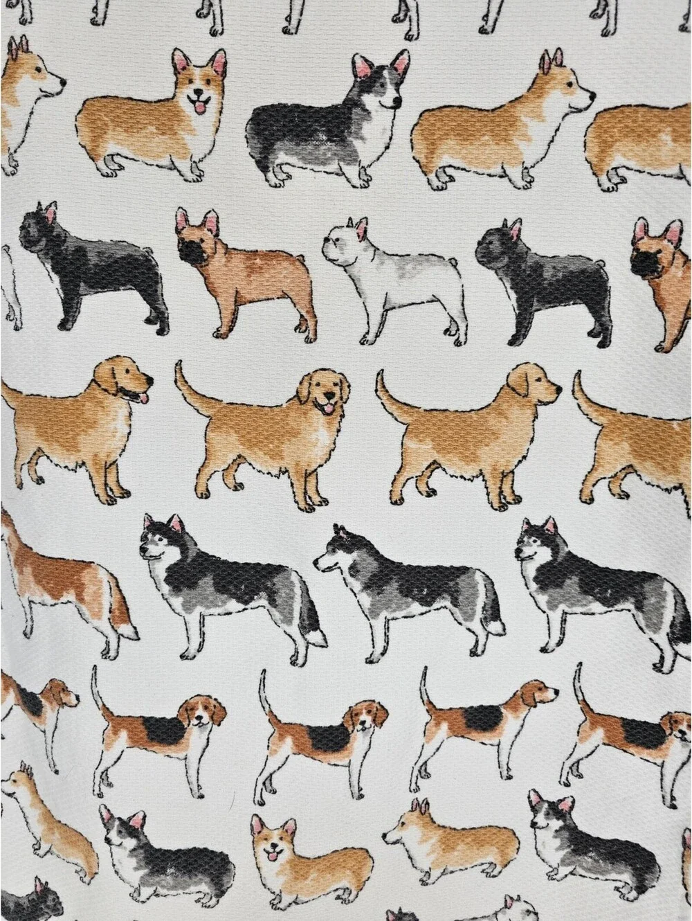 Casaba kitchen towel dishcloth featuring assorted dog breeds Cute